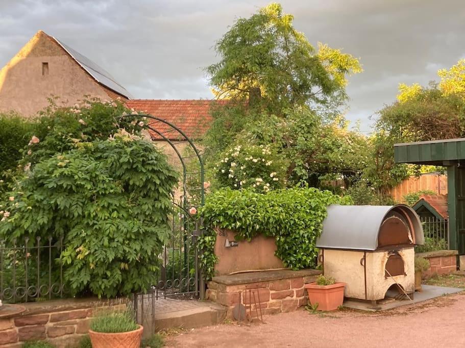 Charmante, Grosszuegige Ferienwohnung Villa Fleurie Bretten Extérieur photo